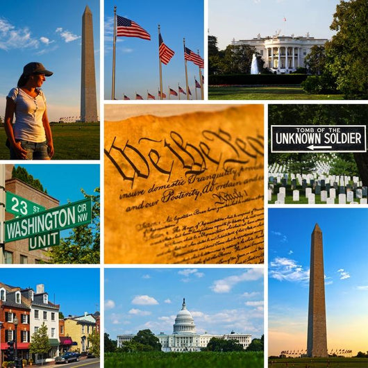 Washington Views Photo Collection Wall Decal