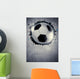 Soccer or football background Wall Mural