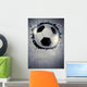 Soccer or football background Wall Mural