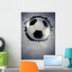 Soccer or football background Wall Mural