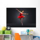 Ballet Dancer Wall Mural