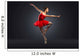 Ballet Dancer Wall Mural
