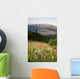 Early Morning Light Wildflower Meadow Olympic Mountains  Wall Mural
