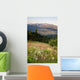 Early Morning Light Wildflower Meadow Olympic Mountains  Wall Mural