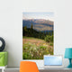 Early Morning Light Wildflower Meadow Olympic Mountains  Wall Mural