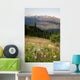 Early Morning Light Wildflower Meadow Olympic Mountains  Wall Mural