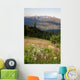 Early Morning Light Wildflower Meadow Olympic Mountains  Wall Mural