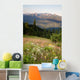 Early Morning Light Wildflower Meadow Olympic Mountains  Wall Mural