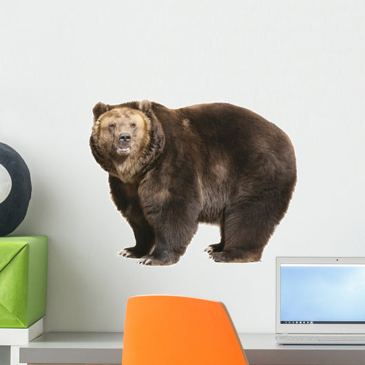 Big Brown Bear White Wall Decal