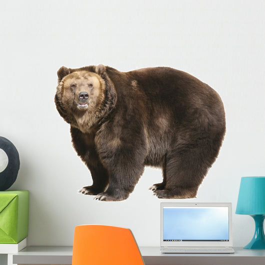 Big Brown Bear White Wall Decal