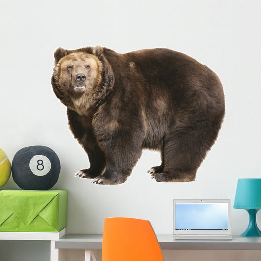 Big Brown Bear White Wall Decal