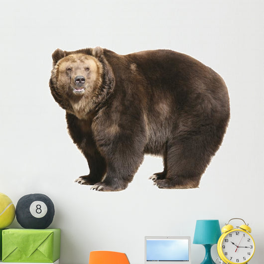Big Brown Bear White Wall Decal