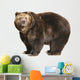 Big Brown Bear White Wall Decal
