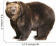 Big Brown Bear White Wall Decal
