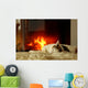 Fireplace Cat Wall Mural