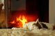 Fireplace Cat Wall Decal