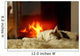 Fireplace Cat Wall Mural
