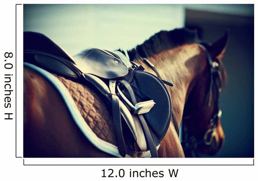 Saddled Horse Wall Mural