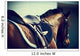 Saddled Horse Wall Mural