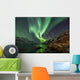 Incredible Aurora Borealis over night sky in Arctic Wall Mural