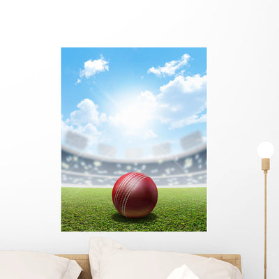 Cricket Stadium And Ball Wall Decal shown on a wall