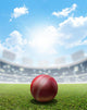 Cricket Stadium And Ball Wall Decal