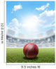Cricket Stadium And Ball Wall Mural