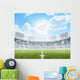 Stadium And Soccer Pitch Wall Mural