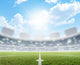 Stadium And Soccer Pitch Wall Decal