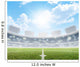 Stadium And Soccer Pitch Wall Mural