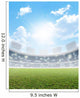 Stadium And Green Turf Wall Mural
