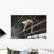 Athlete topless doing exercises on the uneven bars Wall Mural