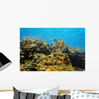 Underwater Coral Reef Wall Decal shown on a wall