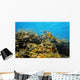 Underwater coral reef Wall Mural