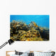 Underwater coral reef Wall Mural