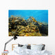 Underwater coral reef Wall Mural