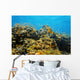Underwater coral reef Wall Mural