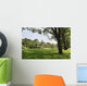 Green grass field in big city park Wall Mural
