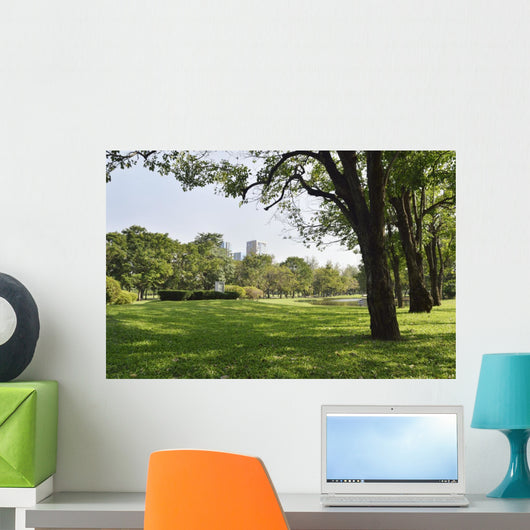 Green grass field in big city park Wall Mural