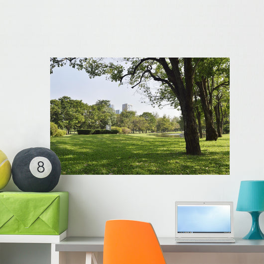 Green grass field in big city park Wall Mural