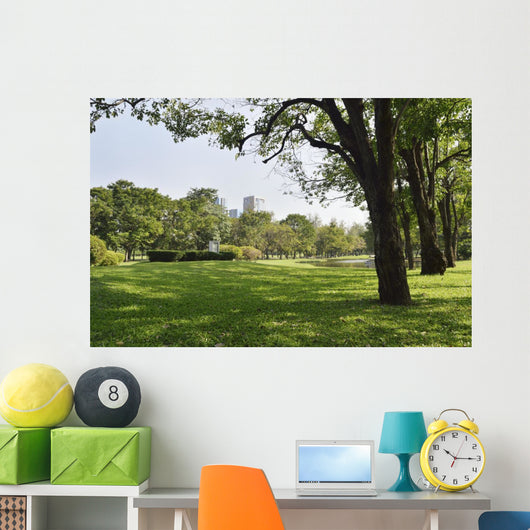 Green grass field in big city park Wall Mural