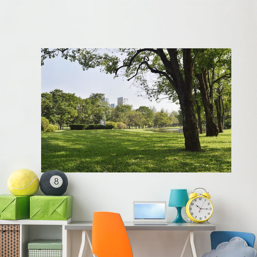Green grass field in big city park Wall Mural