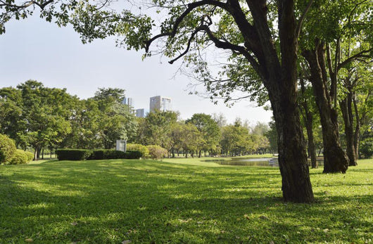 Green Grass Field In Big City Park Wall Decal