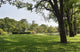 Green Grass Field In Big City Park Wall Decal
