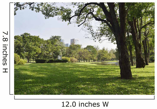 Green grass field in big city park Wall Mural