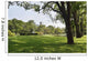 Green grass field in big city park Wall Mural
