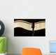 Vintage retro microphone on the black background with light wave Wall Mural