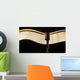 Vintage retro microphone on the black background with light wave Wall Mural
