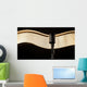 Vintage retro microphone on the black background with light wave Wall Mural