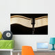 Vintage retro microphone on the black background with light wave Wall Mural